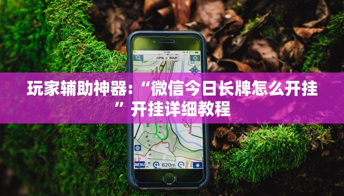 玩家辅助神器:“微信今日长牌怎么开挂”开挂详细教程