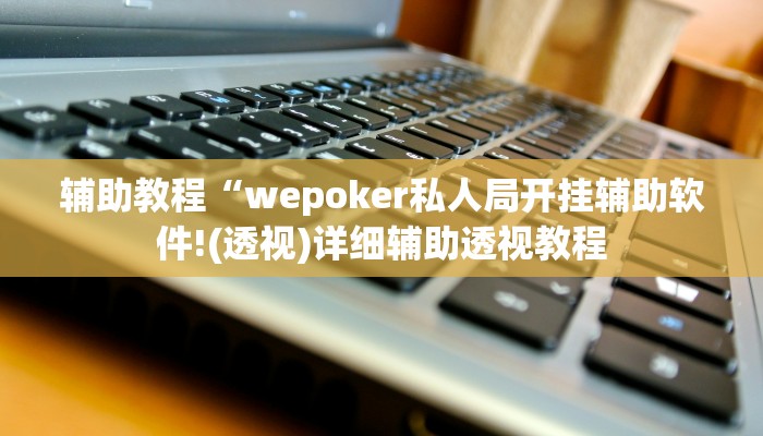 玩家辅助神器:“wepoker德州透视挂软件”其实确实有挂