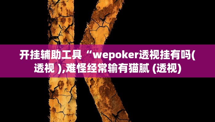 开挂辅助工具“wepoker德州局透视挂软件!(透视)详细辅助透视教程