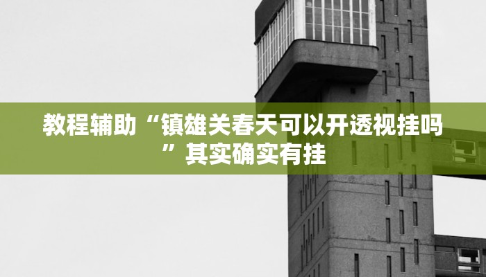 教程辅助“镇雄关春天可以开透视挂吗”其实确实有挂