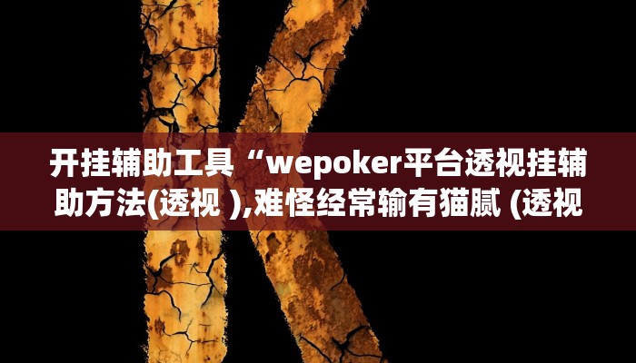 开挂辅助工具“wepoker平台透视挂辅助方法(透视 ),难怪经常输有猫腻 (透视) 开挂辅助工具“wepoker平台透视挂辅助方法(透视 ),难怪经常输有猫腻 (透视)