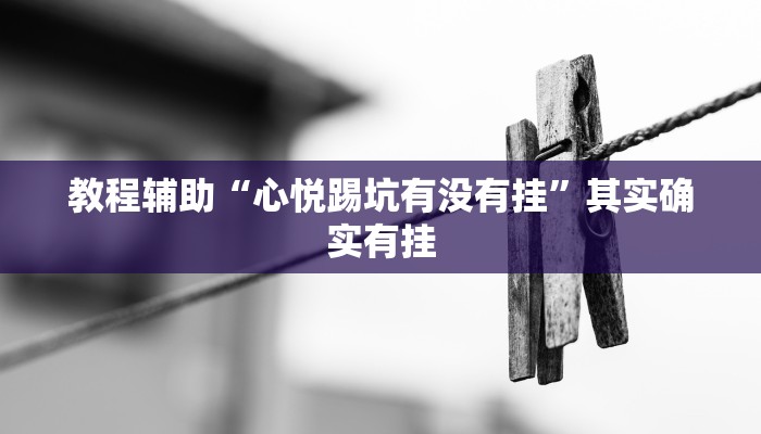 教程辅助“心悦踢坑有没有挂”其实确实有挂
