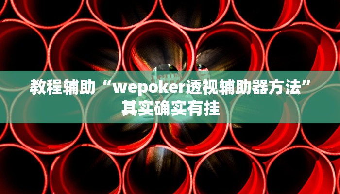 教程辅助“wepoker透视辅助器方法”其实确实有挂