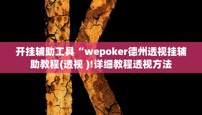 开挂辅助工具“wepoker德州透视挂辅助教程(透视 )!详细教程透视方法