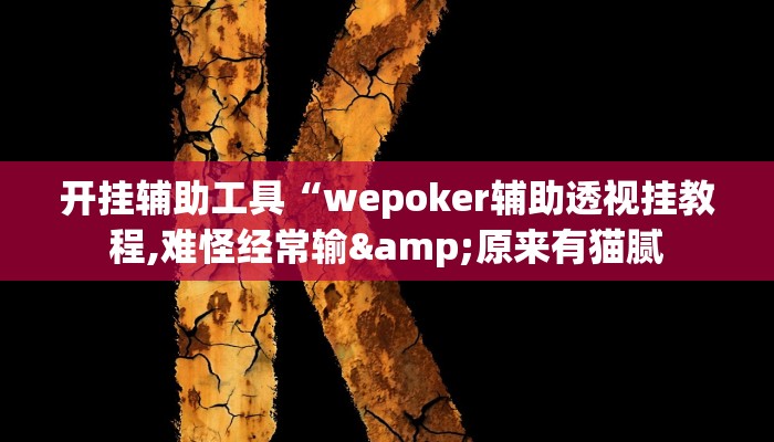 开挂辅助工具“wepoker辅助透视挂教程,难怪经常输&原来有猫腻