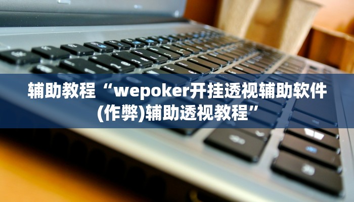 辅助教程“wepoker开挂透视辅助软件(作弊)辅助透视教程”