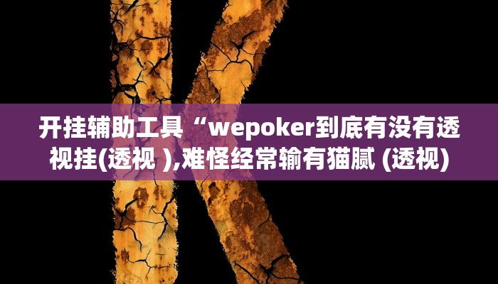 开挂辅助工具“wepoker到底有没有透视挂(透视 ),难怪经常输有猫腻 (透视)