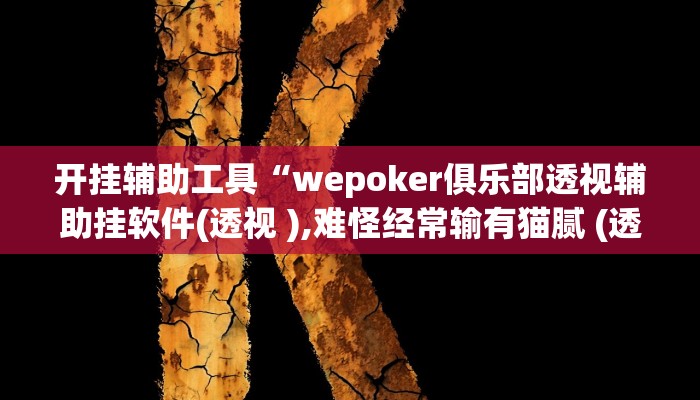 开挂辅助工具“wepoker俱乐部透视辅助挂软件(透视 ),难怪经常输有猫腻 (透视)