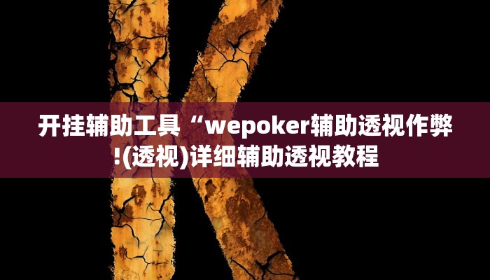 开挂辅助工具“wepoker辅助透视作弊!(透视)详细辅助透视教程
