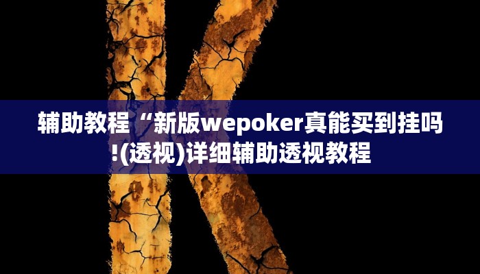 开挂辅助工具“wepoker辅助作弊教程(透视 ),难怪经常输有猫腻 (透视)