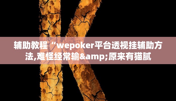 辅助教程“wepoker平台透视挂辅助方法,难怪经常输&原来有猫腻