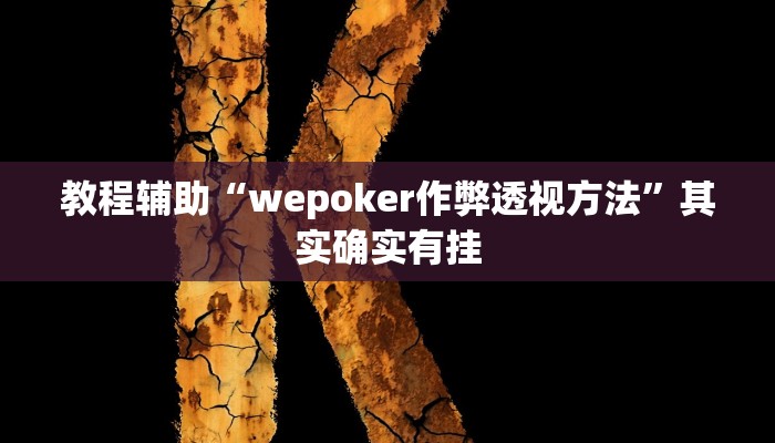 玩家辅助神器:“wepoker怎么作弊”其实确实有挂