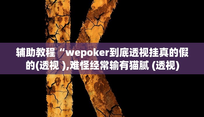 辅助教程“wepoker到底透视挂真的假的(透视 ),难怪经常输有猫腻 (透视)