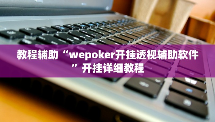 教程辅助“wepoker开挂透视辅助软件”开挂详细教程