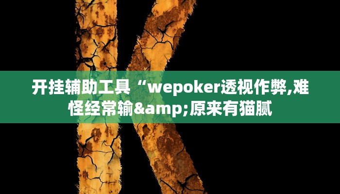 开挂辅助工具“wepoker透视作弊,难怪经常输&原来有猫腻