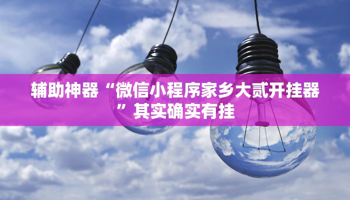 辅助神器“微信小程序家乡大贰开挂器”其实确实有挂