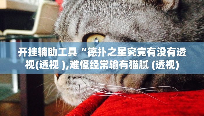 开挂辅助工具“德扑之星究竟有没有透视(透视 ),难怪经常输有猫腻 (透视)