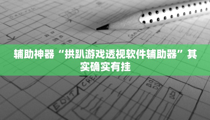 辅助神器“拱趴游戏透视软件辅助器”其实确实有挂
