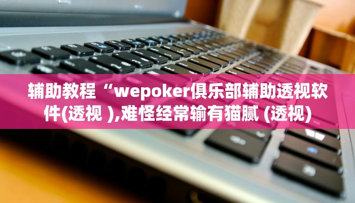 辅助教程“wepoker俱乐部辅助透视软件(透视 ),难怪经常输有猫腻 (透视)