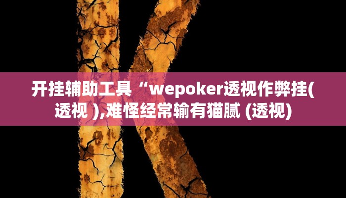 开挂辅助工具“wepoker透视作弊挂(透视 ),难怪经常输有猫腻 (透视)