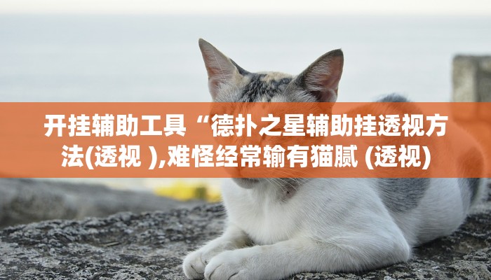 开挂辅助工具“德扑之星辅助挂透视方法(透视 ),难怪经常输有猫腻 (透视)