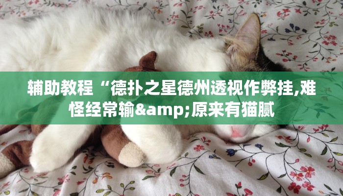 开挂辅助工具“德扑之星作弊辅助透视方法(透视 ),难怪经常输有猫腻 (透视)