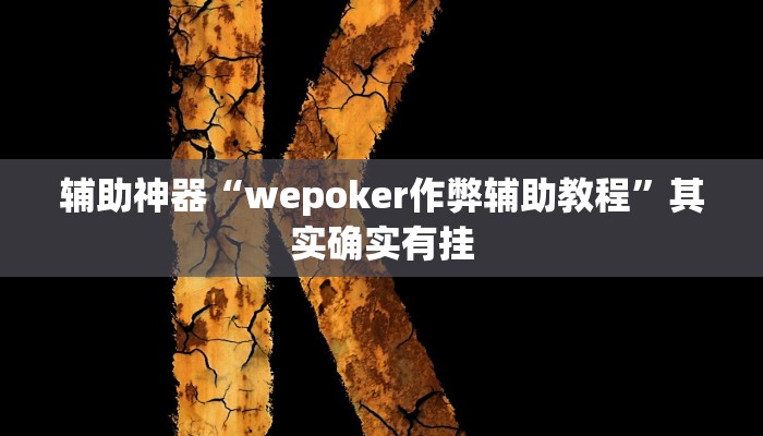 辅助神器“wepoker作弊辅助教程”其实确实有挂