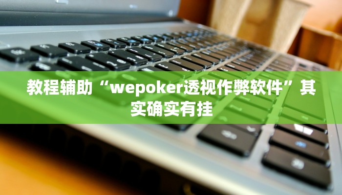 教程辅助“wepoker透视作弊软件”其实确实有挂