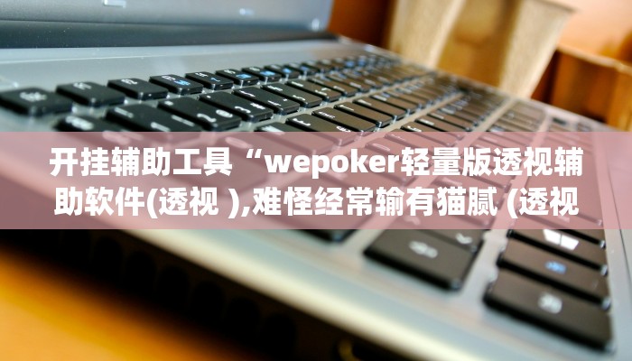 开挂辅助工具“wepoker轻量版透视辅助软件(透视 ),难怪经常输有猫腻 (透视)