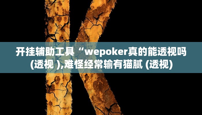 开挂辅助工具“wepoker真的能透视吗(透视 ),难怪经常输有猫腻 (透视)