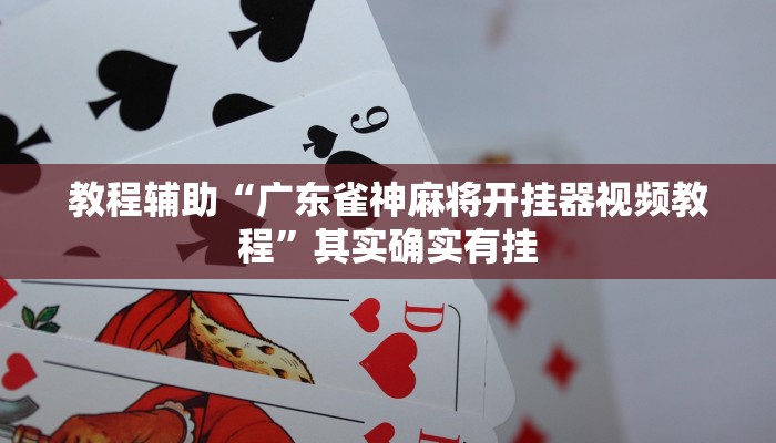 开挂辅助工具“wpk德州作弊辅助挂(透视 ),难怪经常输有猫腻 (透视)