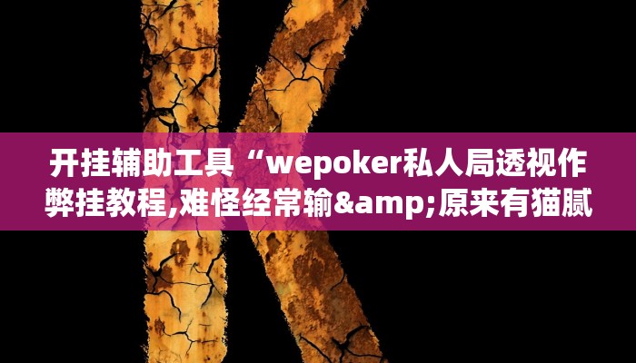 教程辅助“钱塘十三水开挂神器”开挂详细教程