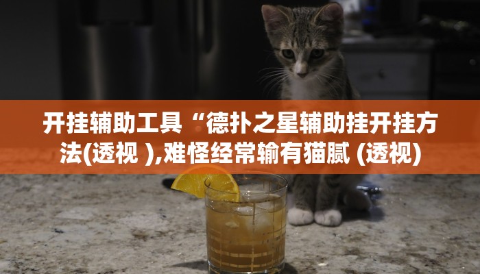 开挂辅助工具“德扑之星辅助挂开挂方法(透视 ),难怪经常输有猫腻 (透视)