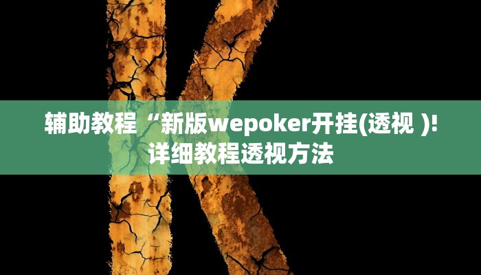 辅助教程“新版wepoker开挂(透视 )!详细教程透视方法