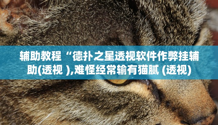 辅助教程“德扑之星透视软件作弊挂辅助(透视 ),难怪经常输有猫腻 (透视)