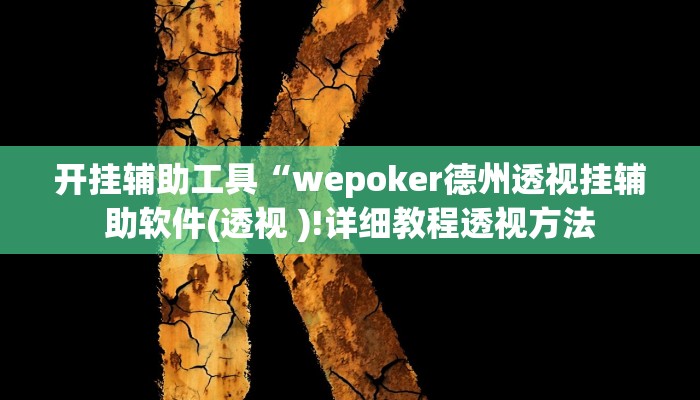 开挂辅助工具“wepoker德州透视挂辅助软件(透视 )!详细教程透视方法
