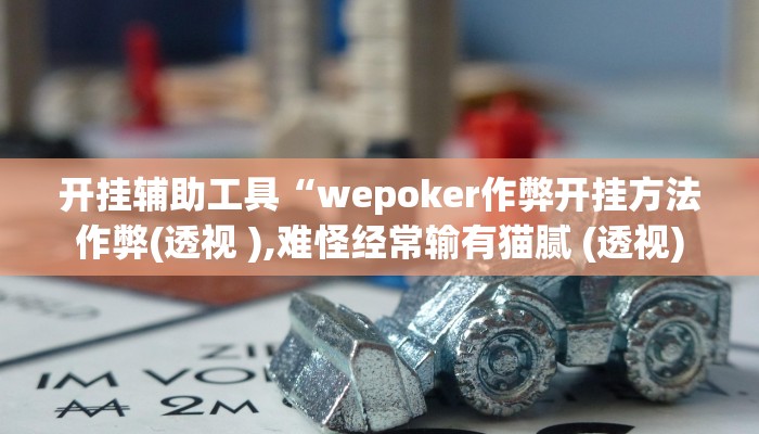开挂辅助工具“wepoker作弊开挂方法作弊(透视 ),难怪经常输有猫腻 (透视)
