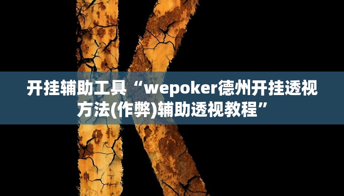 开挂辅助工具“wepoker德州开挂透视方法(作弊)辅助透视教程”