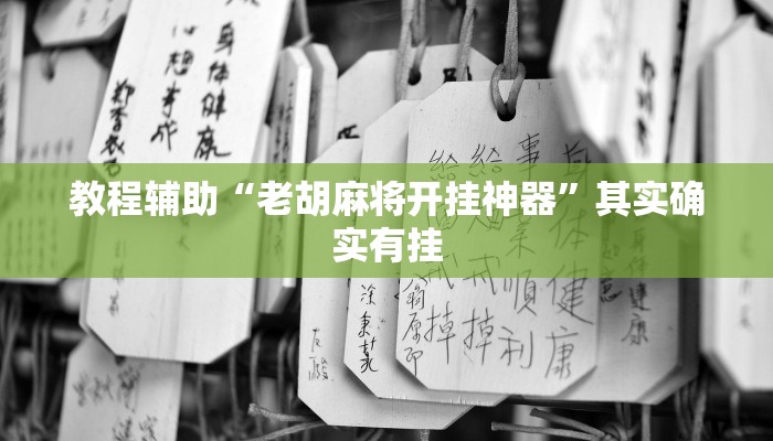 教程辅助“老胡麻将开挂神器”其实确实有挂