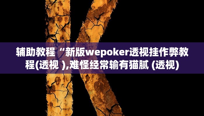 辅助教程“新版wepoker透视挂作弊教程(透视 ),难怪经常输有猫腻 (透视)