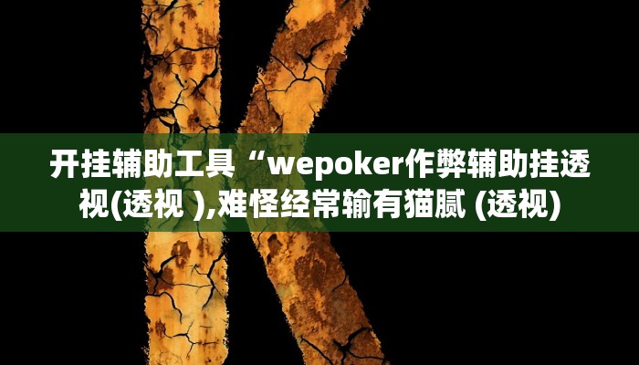 开挂辅助工具“wepoker作弊辅助挂透视(透视 ),难怪经常输有猫腻 (透视)