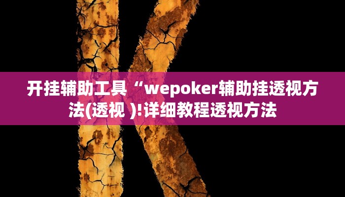 开挂辅助工具“wepoker辅助挂透视方法(透视 )!详细教程透视方法
