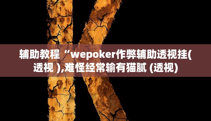 辅助教程“wepoker作弊辅助透视挂(透视 ),难怪经常输有猫腻 (透视)