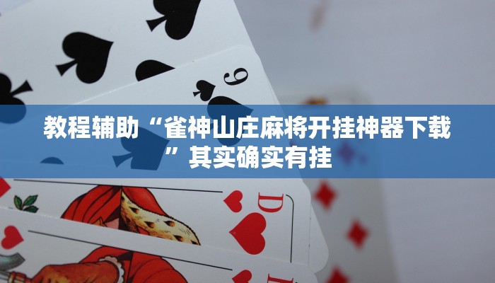 开挂辅助工具“wepoker挂先试用后付款(作弊)辅助透视教程”