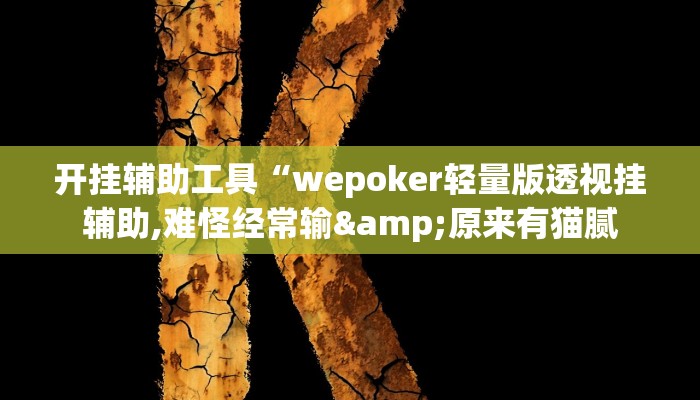 辅助教程“wepoker辅助透视挂作弊挂!(透视)详细辅助透视教程
