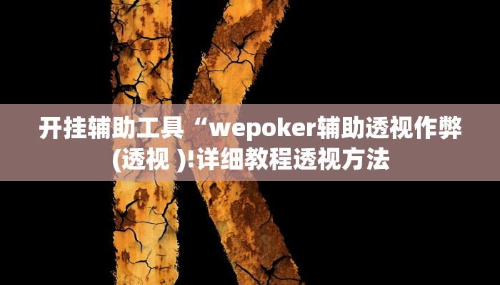 开挂辅助工具“wepoker辅助透视作弊(透视 )!详细教程透视方法