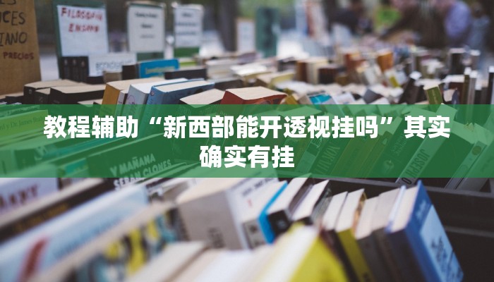 教程辅助“新西部能开透视挂吗”其实确实有挂