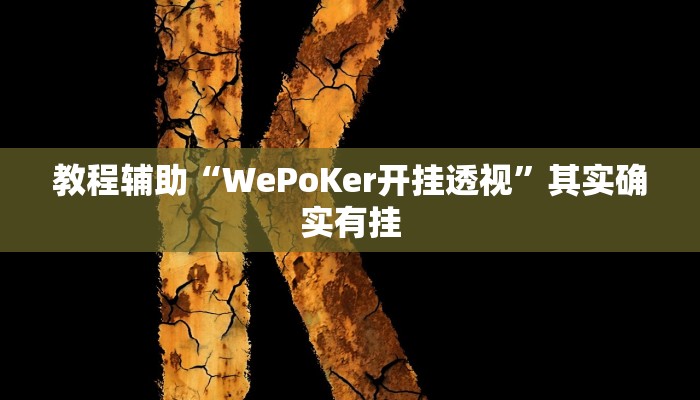 教程辅助“WePoKer开挂透视”其实确实有挂