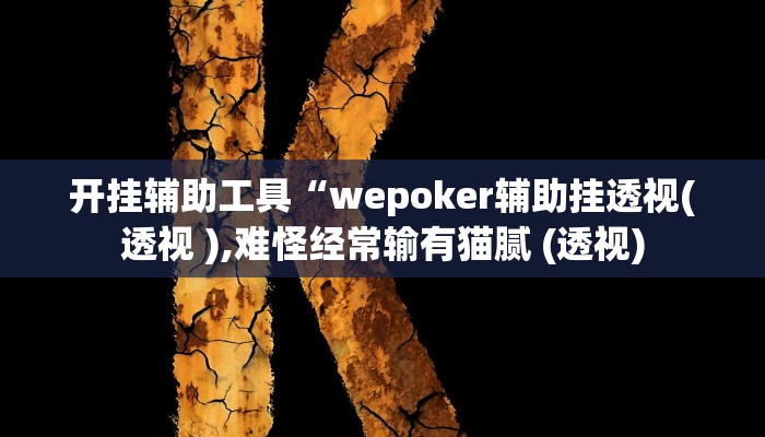 开挂辅助工具“wepoker辅助挂透视(透视 ),难怪经常输有猫腻 (透视)