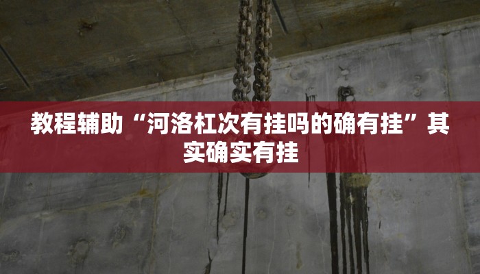教程辅助“河洛杠次有挂吗的确有挂”其实确实有挂